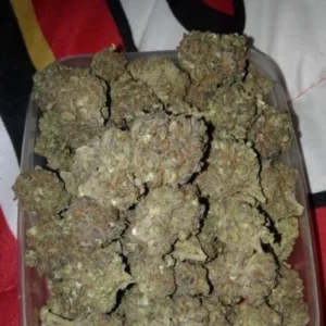 Close-up of Dawg cannabis strain buds showing dense trichomes and rich color