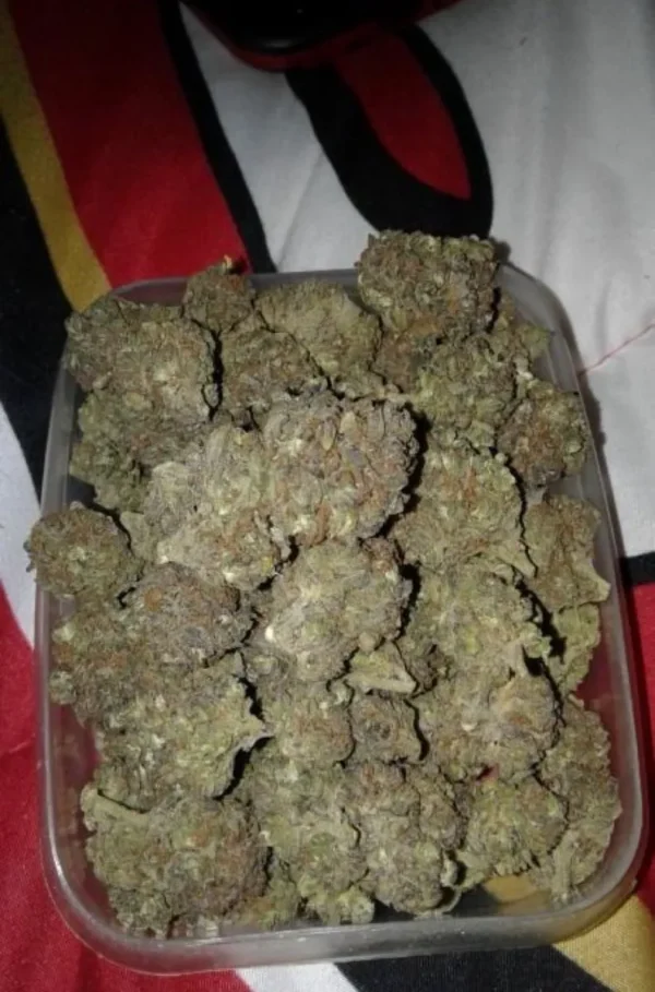 Close-up of Dawg cannabis strain buds showing dense trichomes and rich color